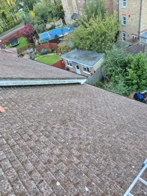Large cleaned tiled roof photographed from the ridge looking over neighbouring gardens