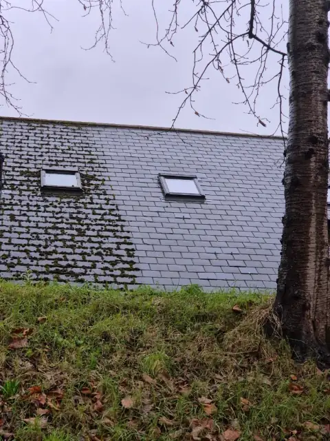 Slate roof with heavy moss on the left half and clean slate on the right half
